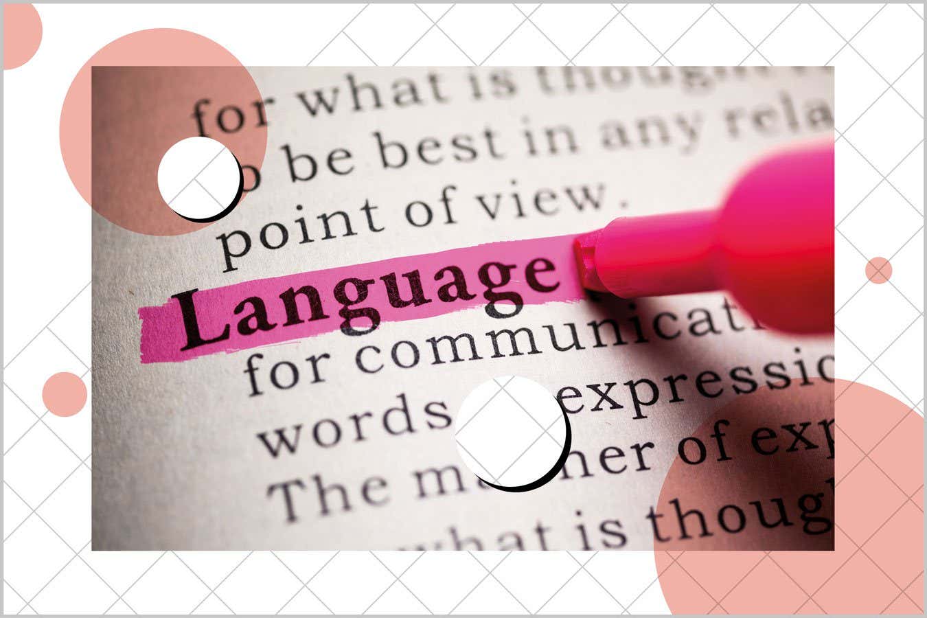 The word 'language' being highlighted in a dictionary.