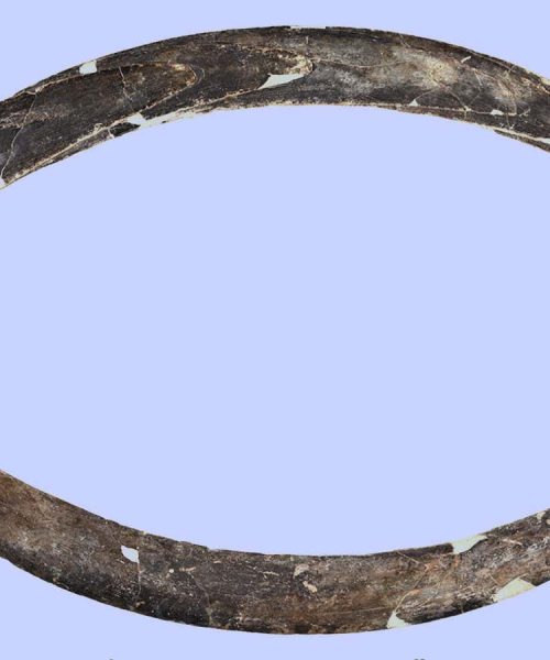 Ancient mammoth-tusk boomerang is twice as old as we thought