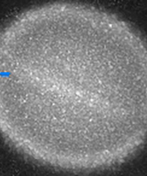 Did something just hit Saturn? Astronomers are racing to find out