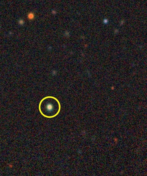 Little red dot galaxies have now been found in our local universe