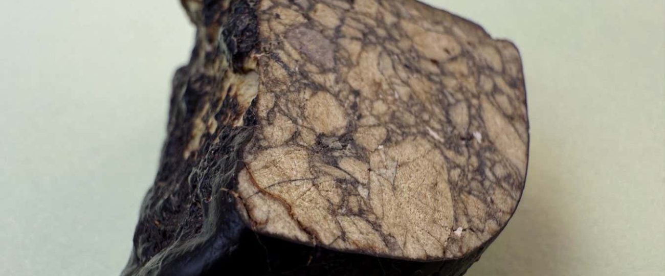 Meteorite causes rethink of how and when our solar system formed