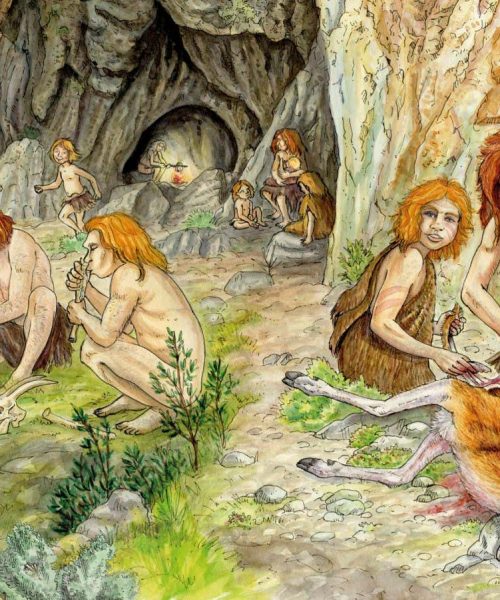 Neanderthal groups had their own local food culture