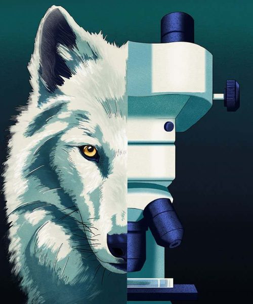 The truth about de-extinction: is it even possible, and why do it?