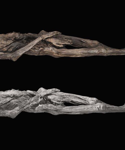 Ancient Siberian ice mummy is covered in ‘really special’ tattoos