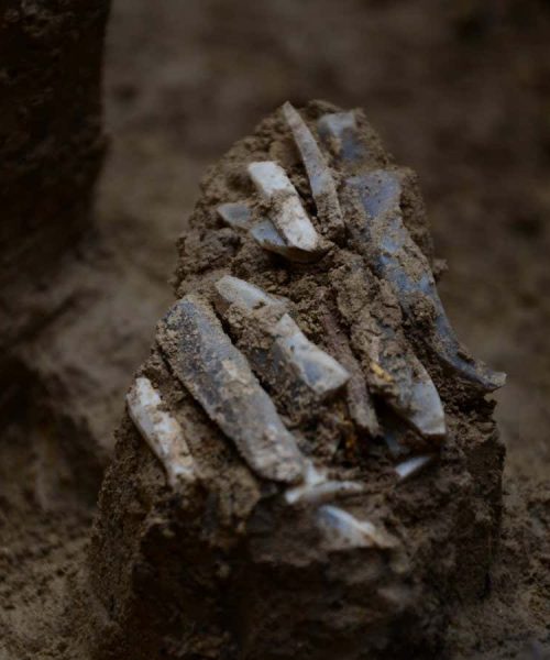 30,000-year-old toolkit shows what ancient hunter carried in a pouch