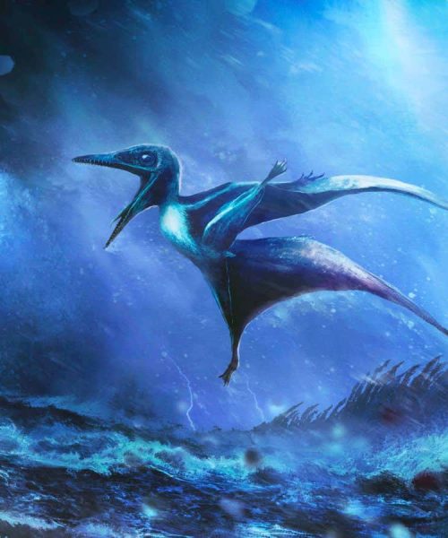 Baby pterosaurs could fly right after hatching – but crashed in storms