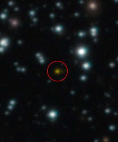 A black hole fell into a star – then ate its way out again