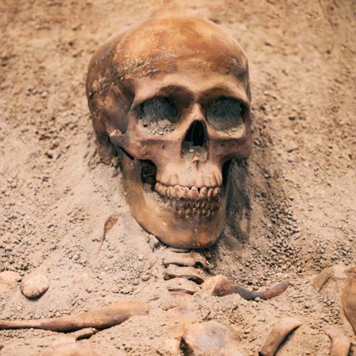 Ancient lead exposure may have influenced how our brains evolved