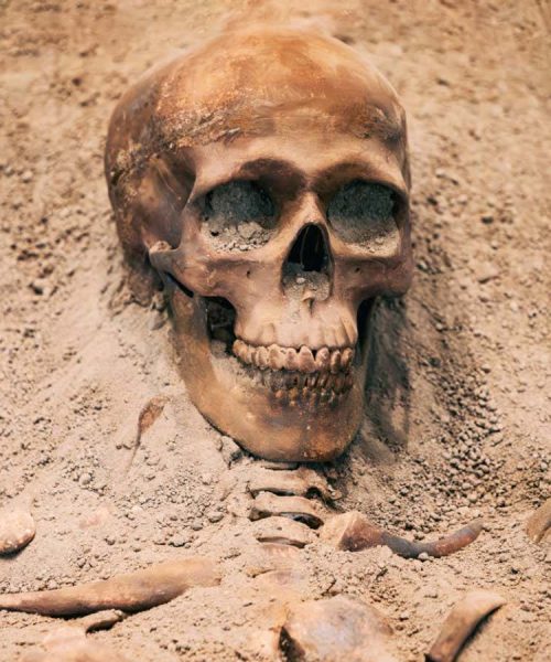 Ancient lead exposure may have influenced how our brains evolved