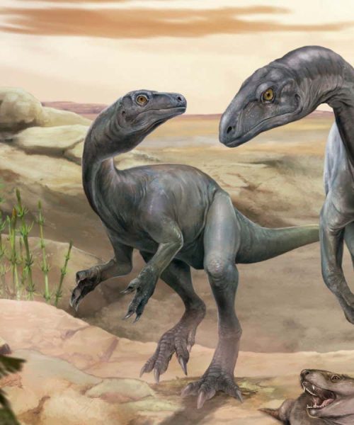 Dinosaur fossil rewrites the story of how sauropods got long necks