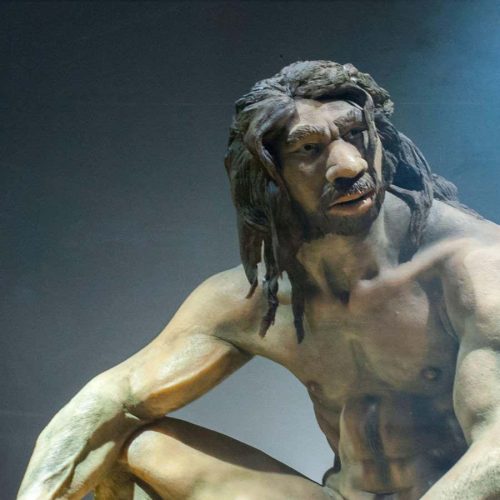 Evolution of intelligence in our ancestors may have come at a cost