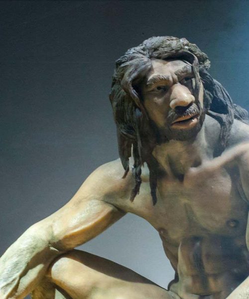 Evolution of intelligence in our ancestors may have come at a cost