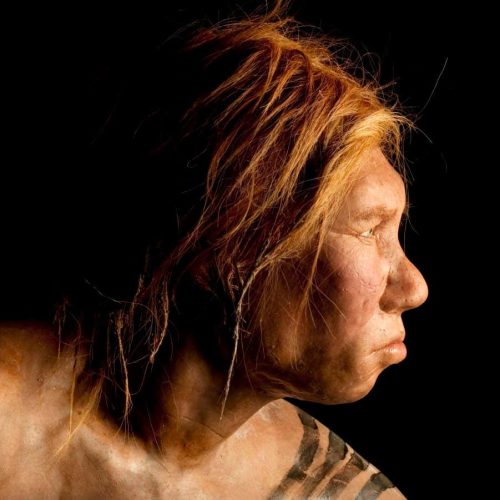 Neanderthal-human hybrids may have been scourged by a genetic mismatch
