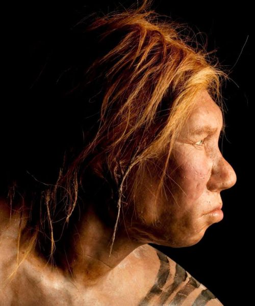 Neanderthal-human hybrids may have been scourged by a genetic mismatch