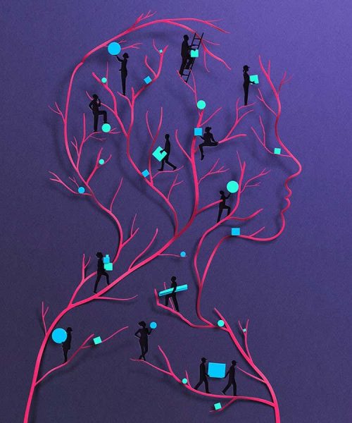 The extraordinary influence of the lymphatic system on our health