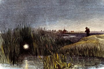 We may finally know what causes will-o’-the-wisps