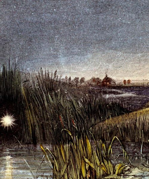 We may finally know what causes will-o’-the-wisps