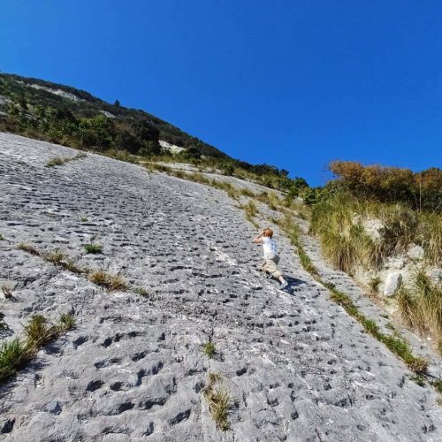 Ancient tracks may record stampede of turtles disturbed by earthquake