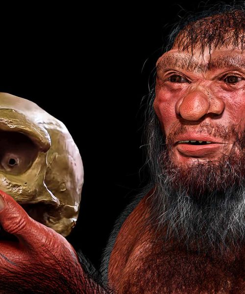 New Denisovan discovery could rewrite our family tree