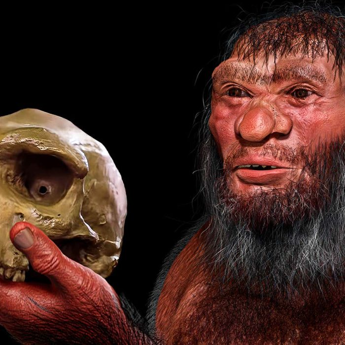 New Denisovan discovery could rewrite our family tree