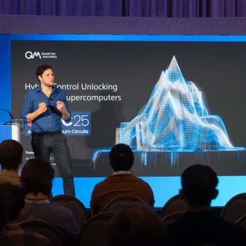 Quantum computers need classical computing to be truly useful