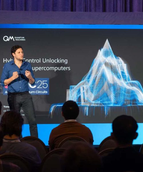 Quantum computers need classical computing to be truly useful