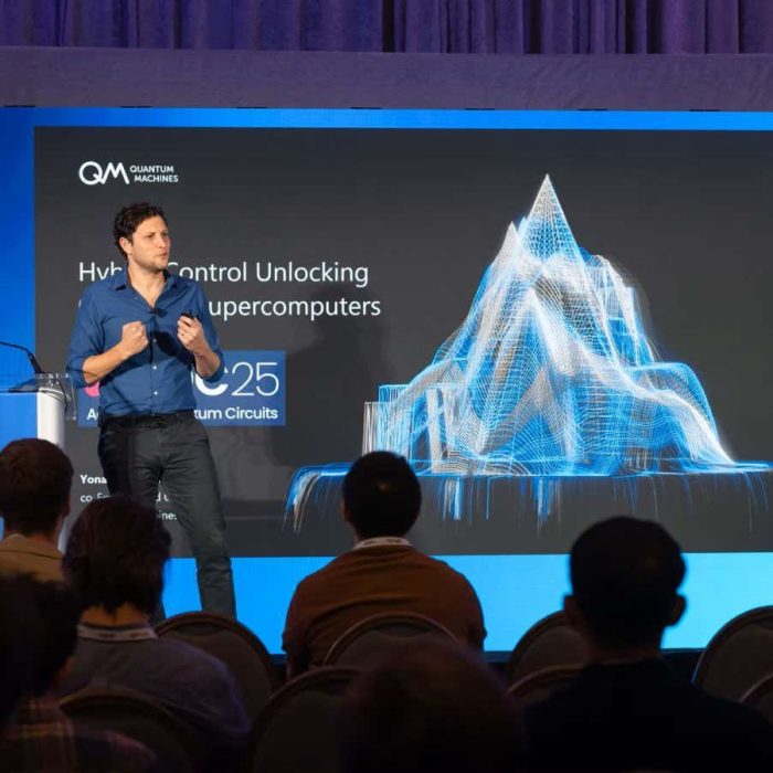 Quantum computers need classical computing to be truly useful