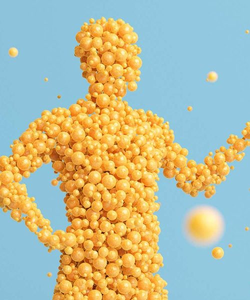 The vital, overlooked role of body fat in shaping your health and mind