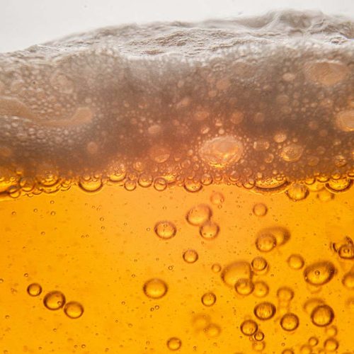 Did ancient humans start farming so they could drink more beer?