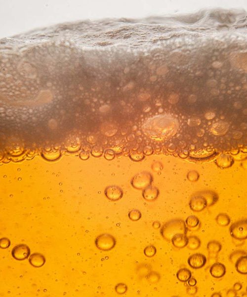 Did ancient humans start farming so they could drink more beer?