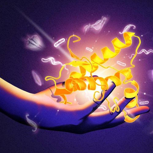 A sinister, deadly brain protein could reveal the origins of all life