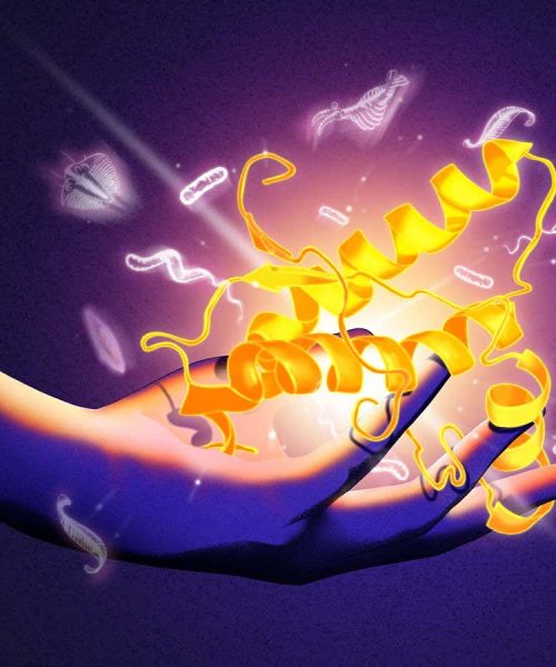 A sinister, deadly brain protein could reveal the origins of all life