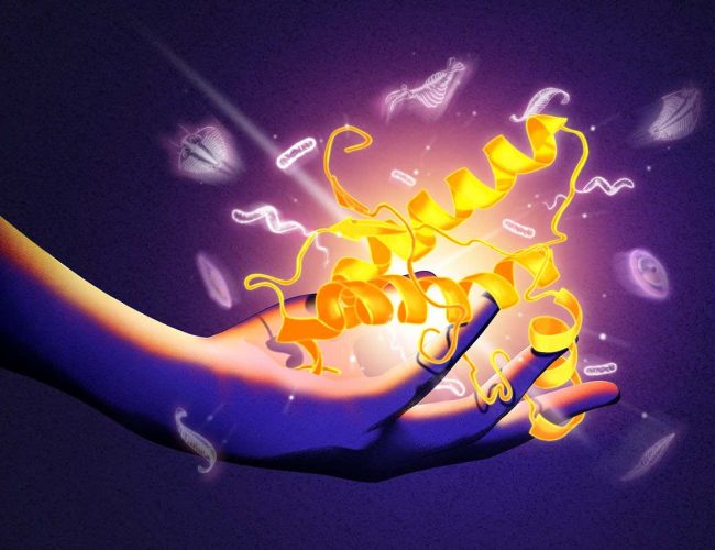 A sinister, deadly brain protein could reveal the origins of all life