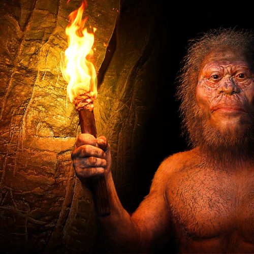 How Homo naledi is changing what we know about death