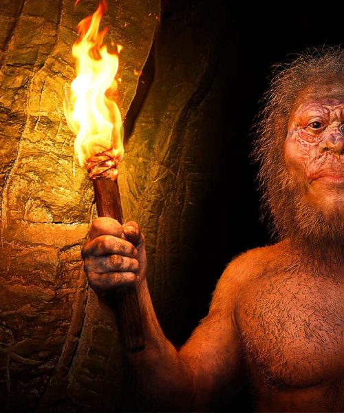 How Homo naledi is changing what we know about death