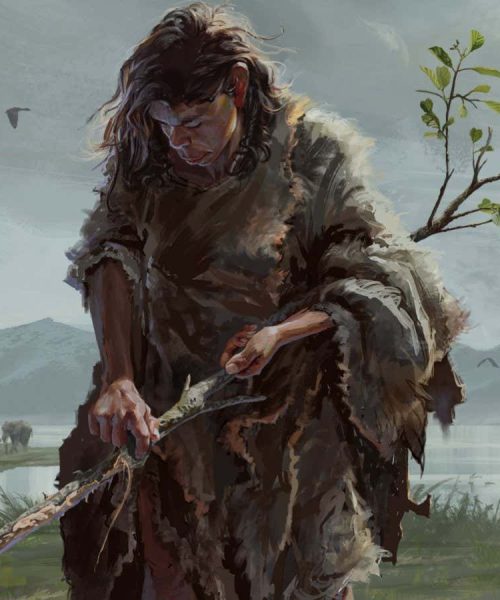 Stick shaped by ancient humans is the oldest known wooden tool