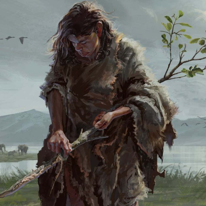 Stick shaped by ancient humans is the oldest known wooden tool