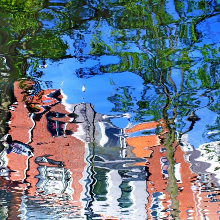 We have a new way to explain why we agree on the nature of reality