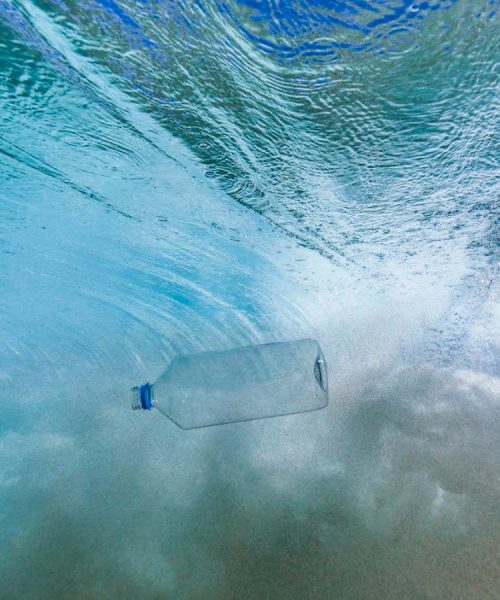 A remarkable book on quantum mechanics reveals a really big idea