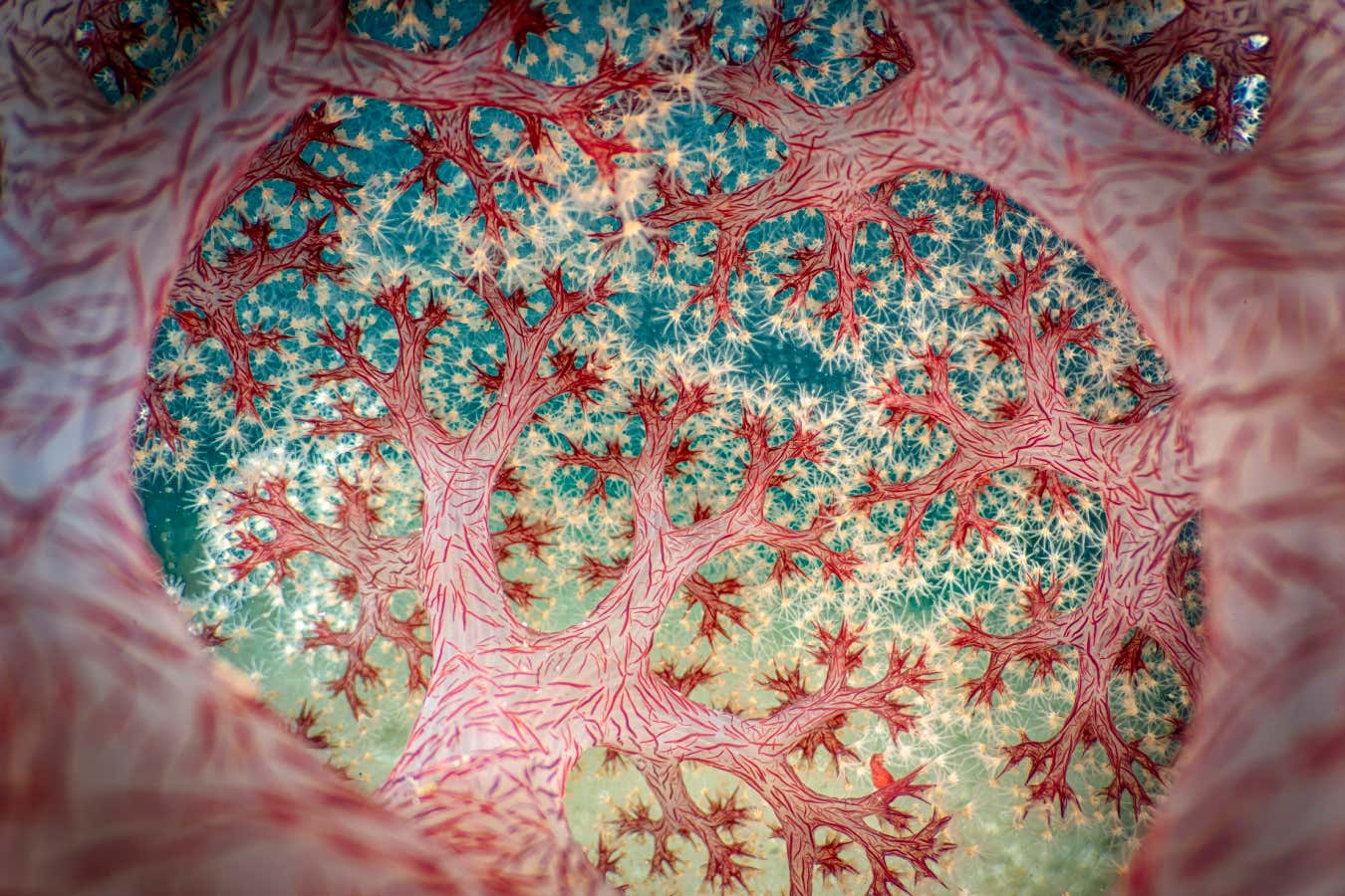 New Scientist. Science news and long reads from expert journalists, covering developments in science, technology, health and the environment on the website and the magazine.