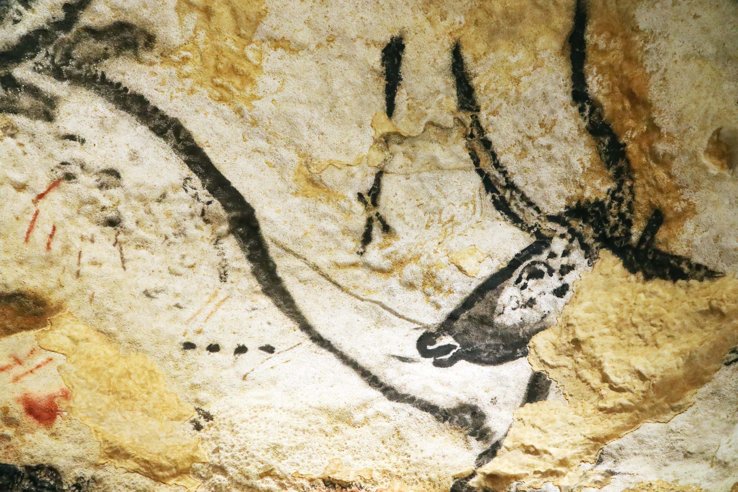 Neanderthals and early humans may have interbred over a vast area ...