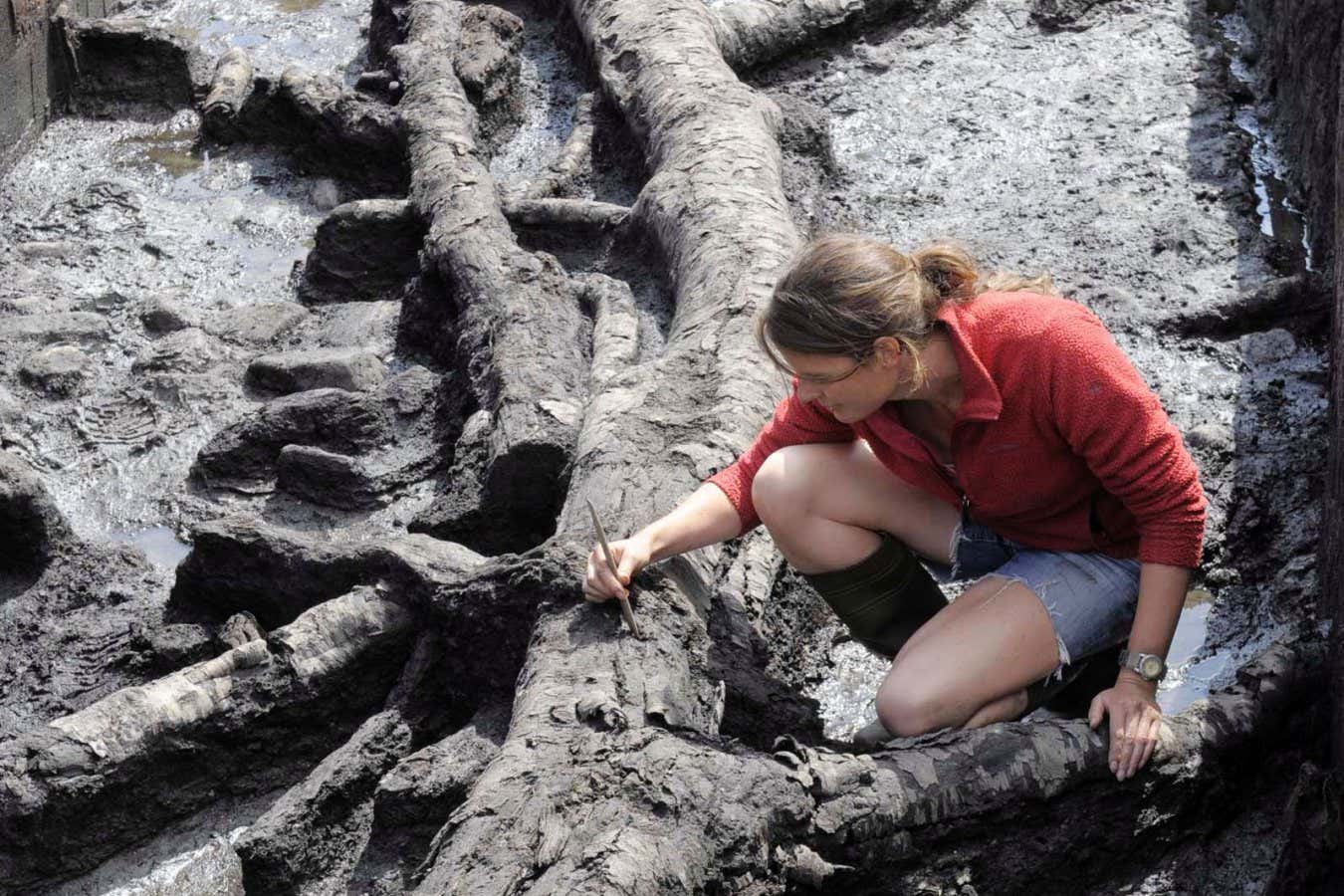 Mandatory Credit: Photo by United National Photographers/Shutterstock (1216093d) Dr Nicky Milner from The University of York works on the remains of a Birch tree thought to date back 11,000 years at Star Carr Archaelogists discover Britain's oldest house is 11,500 years old, Star Carr, near Scarborough, North Yorkshire, Britain - 10 Aug 2010 Archaeologists have discovered that Britain's oldest house is a staggering 11,500 years old. The circular structure, discovered on the Star Carr site, near Scarborough in North Yorkshire, dates back to the 8,500 years BC when Britain was still part of Continental Europe. The remnants are at least 500 years older than those belonging to what was previously thought to be the country's oldest dwelling, in Howick, Northumberland. The Star Carr site has been the subject of extensive research and excavation since its discovery in the 1940s, and has yielded a number of interesting artefacts. The 3.5m house was first excavated by archaeologists from the University of Manchester and University of York two years ago. As well as the Stone Age home, the team are also excavating a nearby wooden platform made of split timbers that is thought to be the earliest evidence of carpentry in Europe.