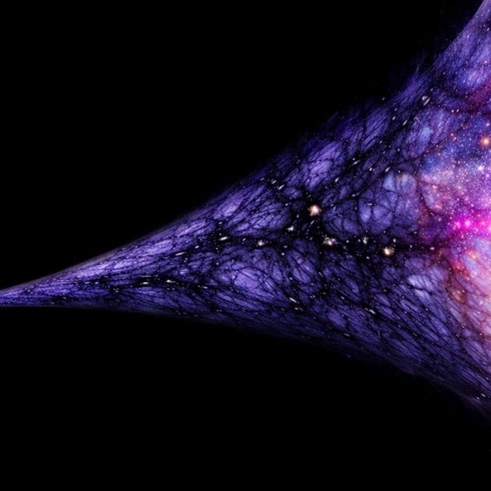 Inside the best dark matter detector ever built