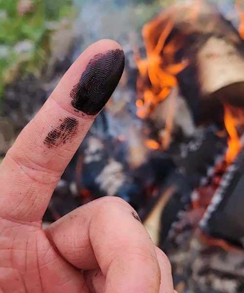 Neanderthals may have treated wounds with antibiotic sticky tar