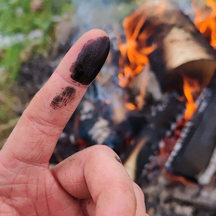 Neanderthals may have treated wounds with antibiotic sticky tar