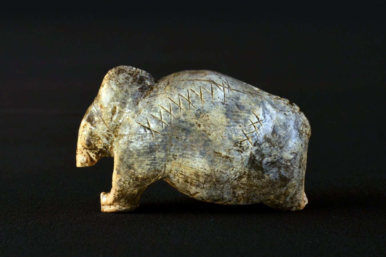 The mammoth figurine from Vogelherd Cave, approximately 40,000 years old, bears multiple sequences of crosses and dots on its surface. Credit Credit: Universit?t T?bingen / Hildegard Jensen, CC-BY-SA 4.0