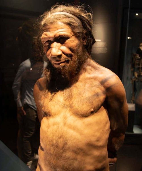When we interbred with Neanderthals, they were usually the fathers