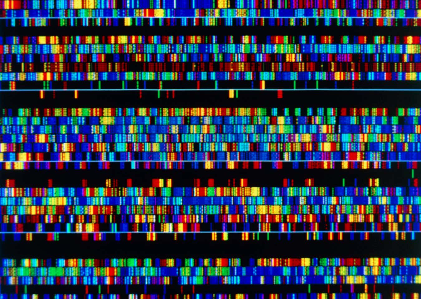 A computer screen display of a human DNA Human DNA sequence as a series of coloured bands