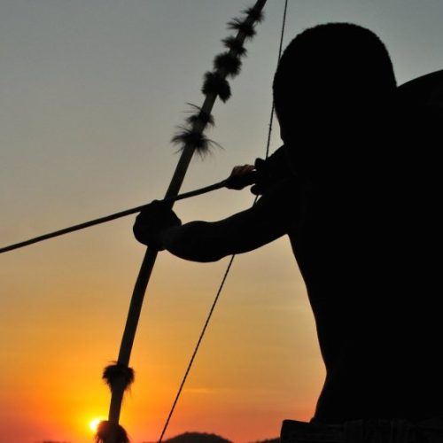 Did humans evolve to be active throughout the day and night?