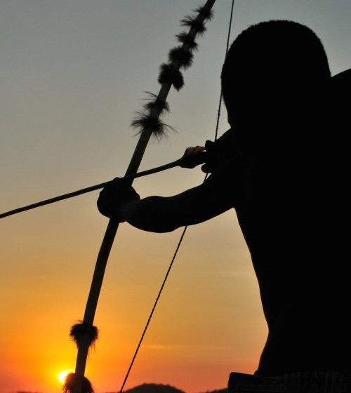 Did humans evolve to be active throughout the day and night?